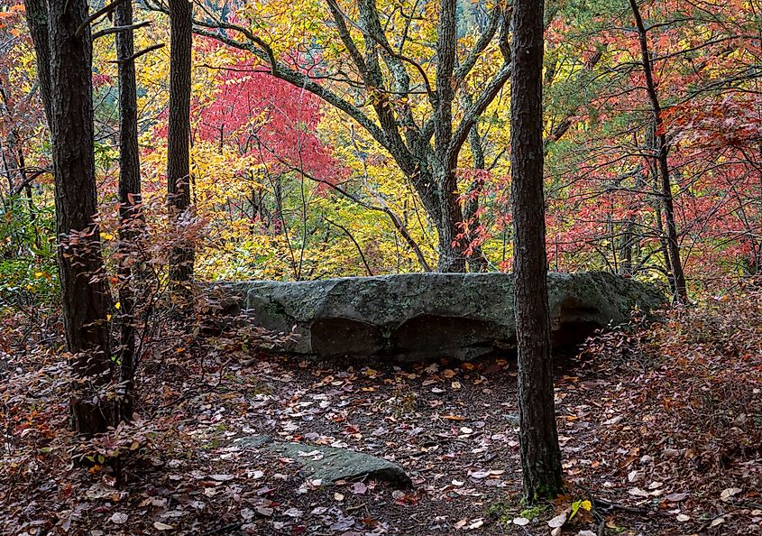 Babcock State Park