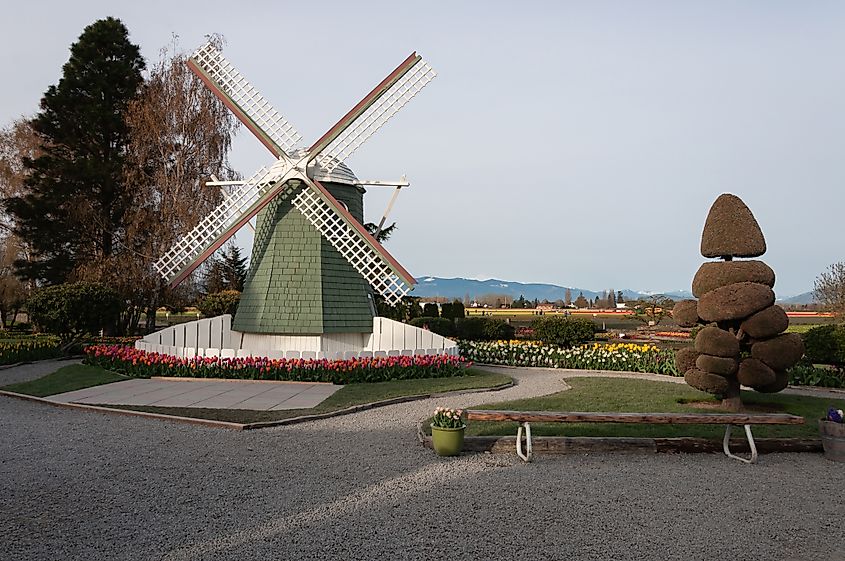 A windmill and a bush sculpture or topiary at the Skagit Valley, La Conner, Washington.