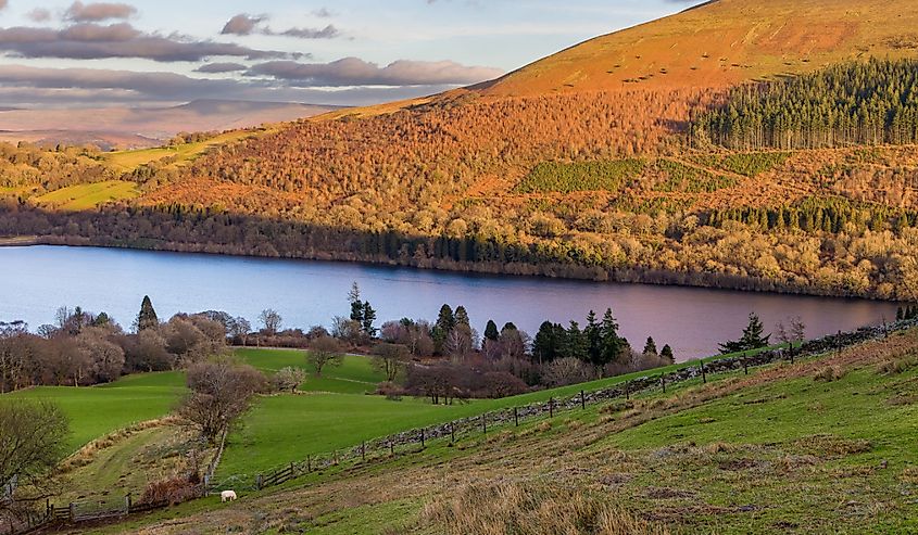 Late afternoon sunlight on the rural farmland and hills in the Brecon Beacons, Wales, UK