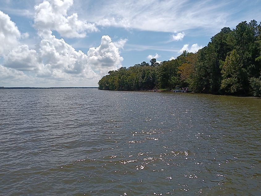 Lake Marion in South Carolina, a vast reservoir known for its fishing, scenic views, and surrounding forested landscapes