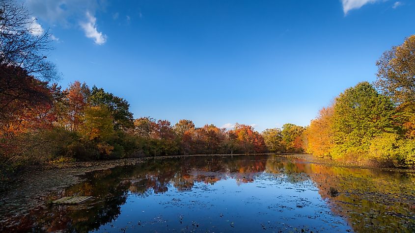 Great Swamp National Wildlife Refuge in Chatham, New Jersey.