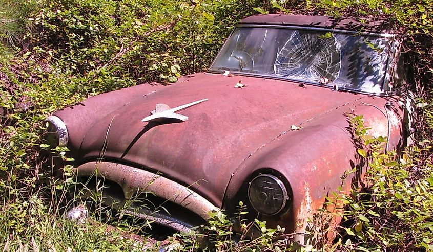 Pink vehicle with overgrowth in Old Car City, White, Georgia.