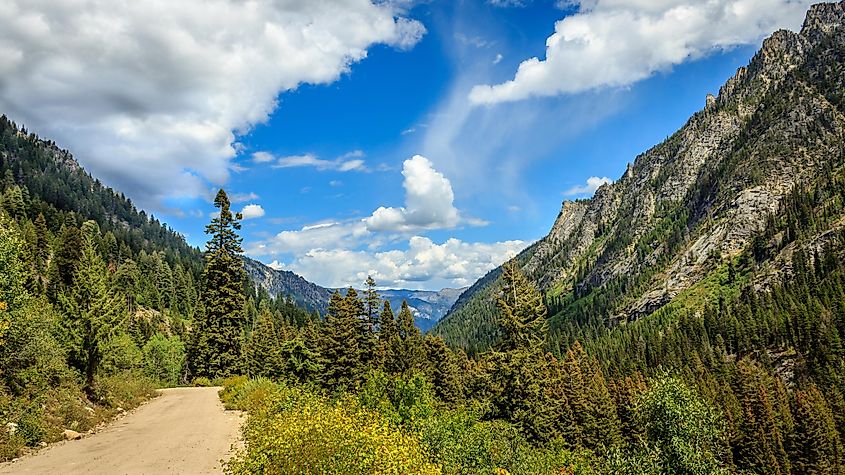 Payette National Forest near McCall, Idaho