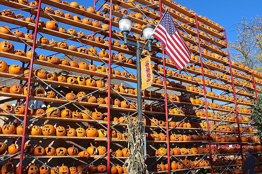 view of "the wall" at The Great Highwood Pumpkin Festival.