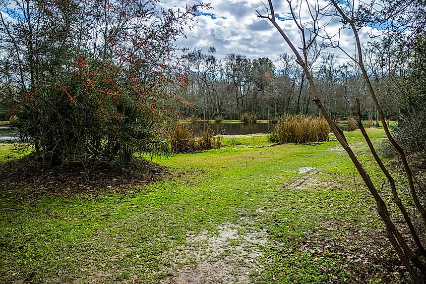 Beautiful Evangeline Pond in St. Martinville, Louisiana.