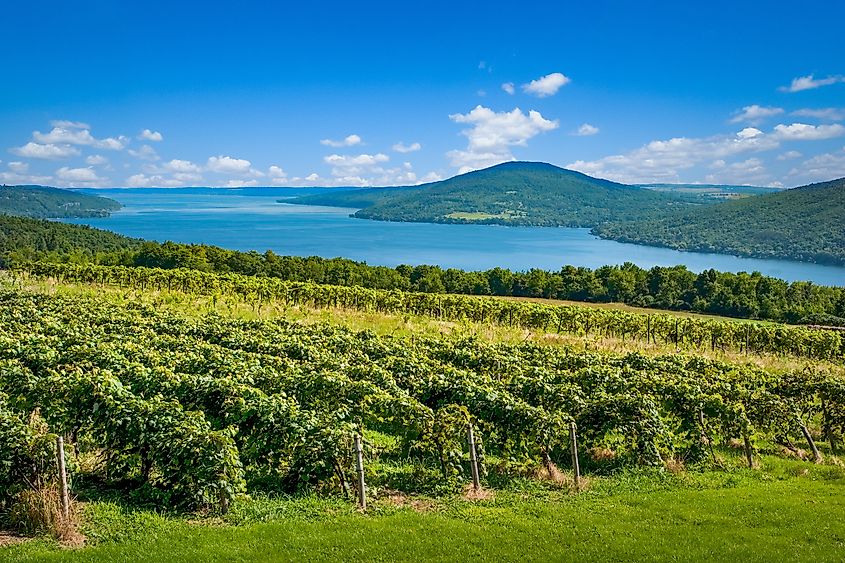 Canandaigua Lake, located in the Finger Lakes region of New York State