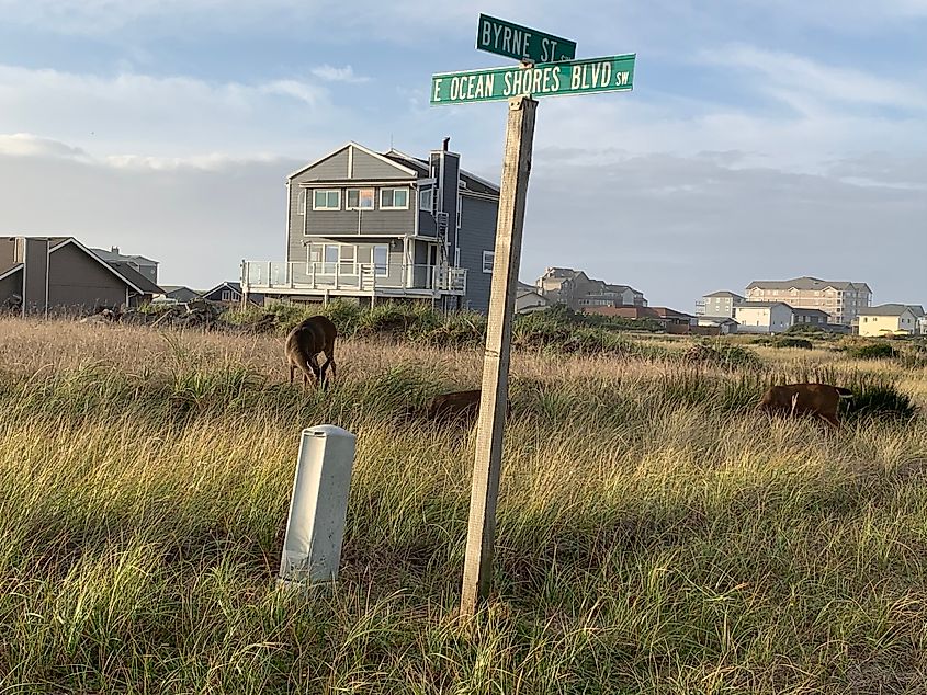 A home in Ocean Shores, Washington.