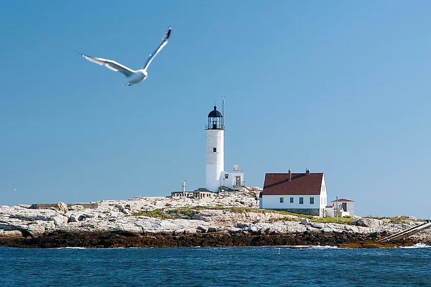 White Island in the Isles of Shoals.