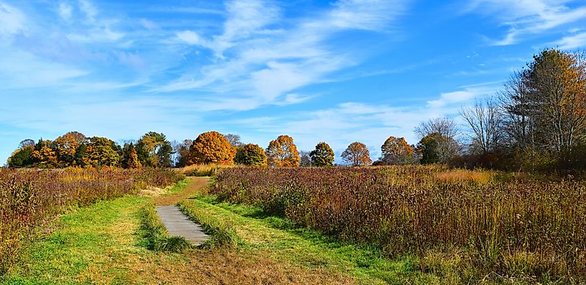 A trail in Duxbury, Massachusetts, near the Cedar Hill Resort.