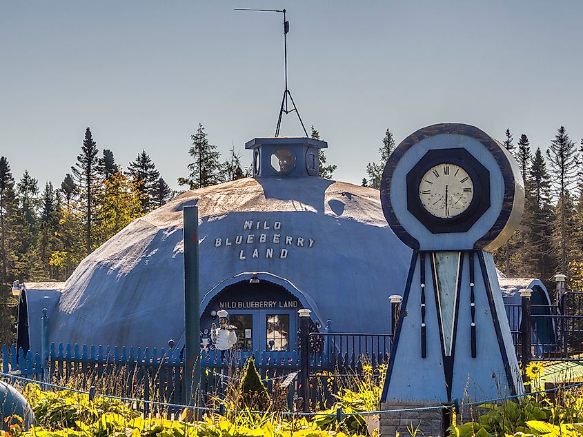 Wild Blueberry Land in Columbia Falls, Maine, a whimsical blueberry-shaped building surrounded by lush fields.