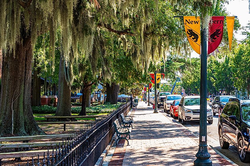 Spanish Moss Overhangs a Sidewalk with Benches in New Bern. Editorial credit: Wileydoc / Shutterstock.com