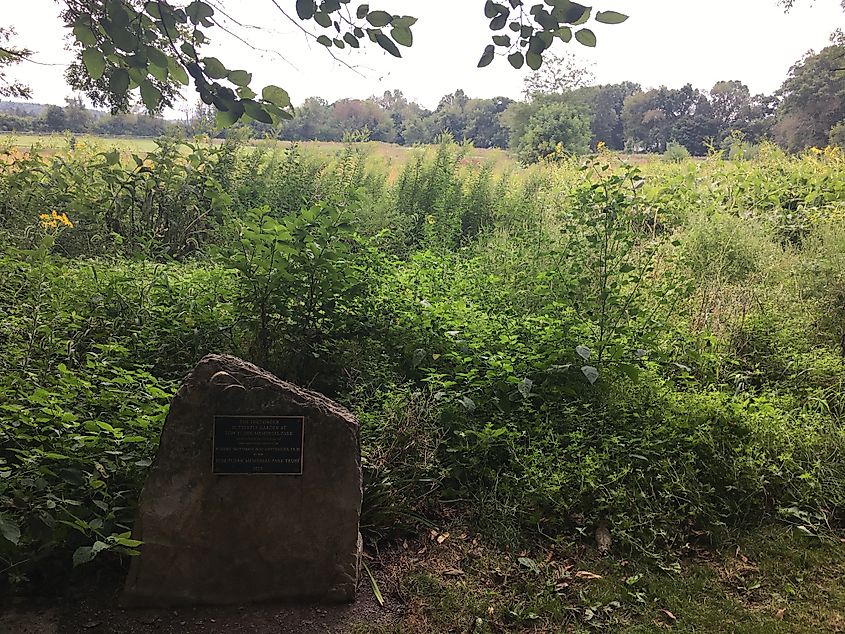 Stetsinger Butterfly Garden at Tom Tudek Memorial Park