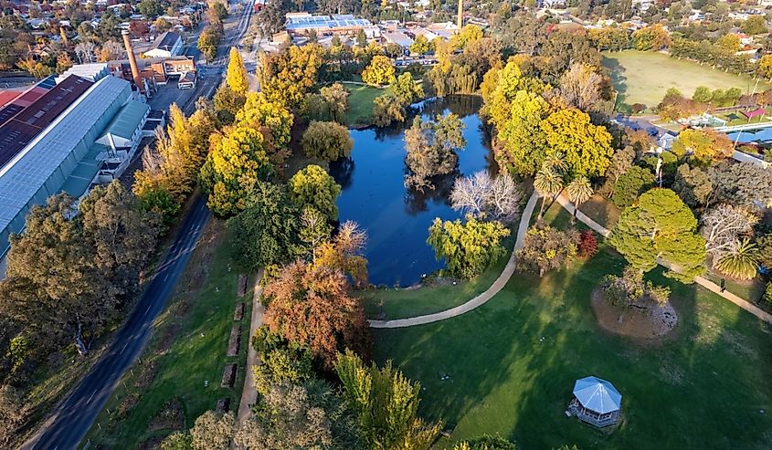 Aerial view of Castlemaine Botanic Gardens and Lake Joanna in central Victoria