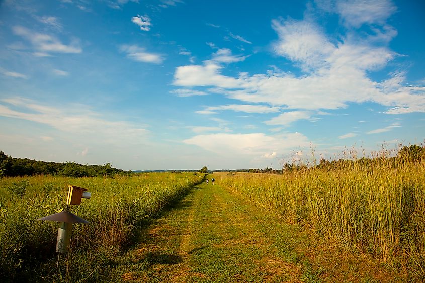 A landscape image taken at Audrey Carroll Audubon sanctuary.