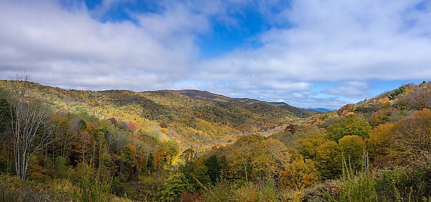 A panoramic photo of the Appalachian Mountains in autumn, capturing vibrant hues of fall foliage covering the slopes and valleys, from an overlook on the Cherohala Skyway.