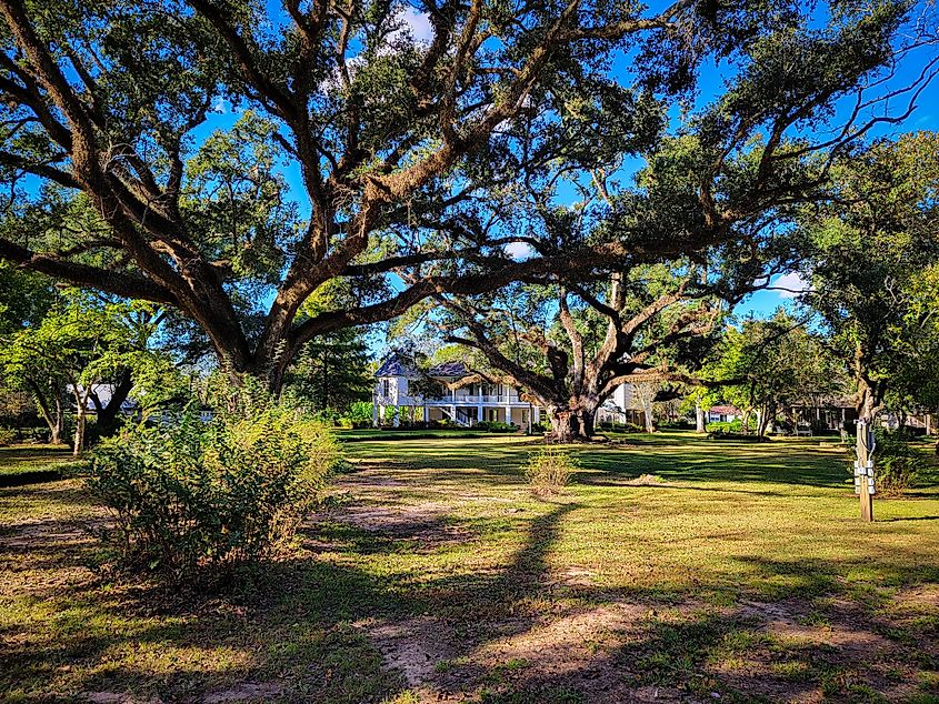 The historic Melrose Plantation site in Louisiana.