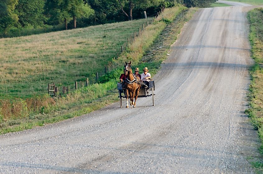 An Amish buggy is out for an evening ride in rural Kalona, Iowa.