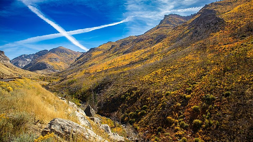 Fall in Lamoille Canyon Nevada