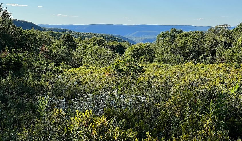 Two Rock Run Vista overlook at Burns Run Wild Area in Sproul State Forest, Pennsylvania.