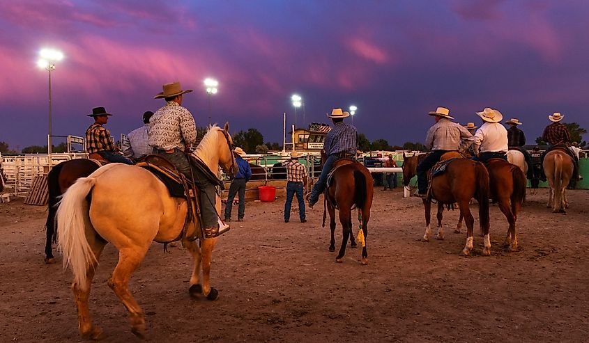 Cowboys on horseback in a rodeo at the Churchill County Fairgrounds in the city of Fallon.