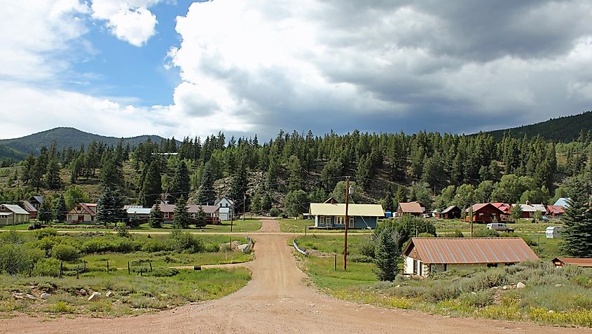 Beautiful greenery in Pitkin, Colorado