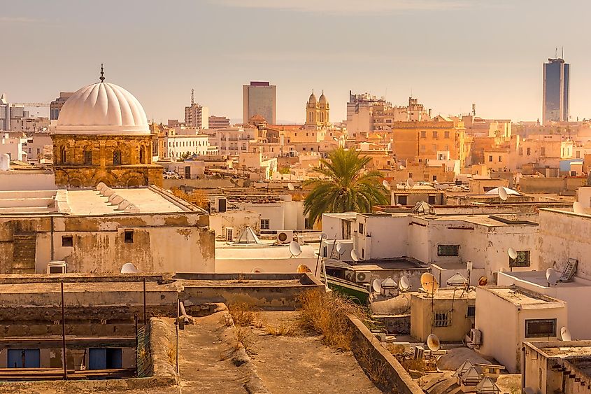 Aerial view of Tunis, Tunisia. Image used under license from Shutterstock.com.