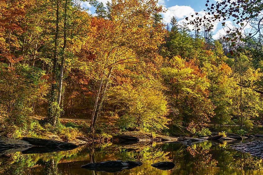 Fall foliage along Tellico River near Tellico Plains, Tennessee.