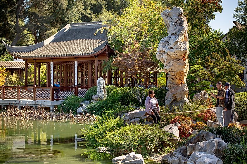 A view of the Chinese Garden landscape at the Huntington Library in San Marino, California.