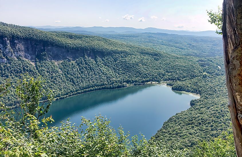 Lush forests around Lake Willoughby 