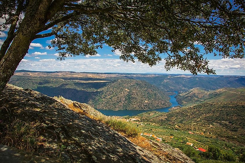Scenic view from the top of the cliffs in the Douro Internacional Nature Park.