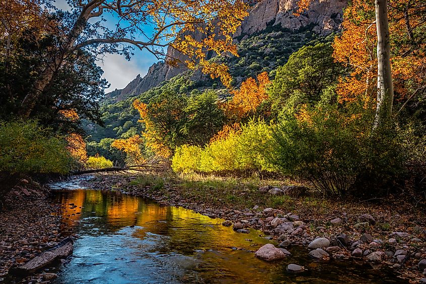 The Chiricahua Mountains near Portal, Arizona.