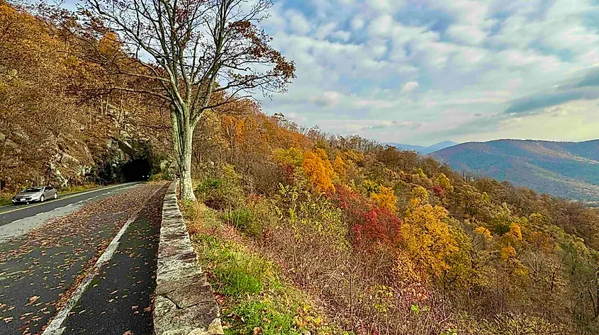 Skyline Drive Photo by Bryan Dearsley