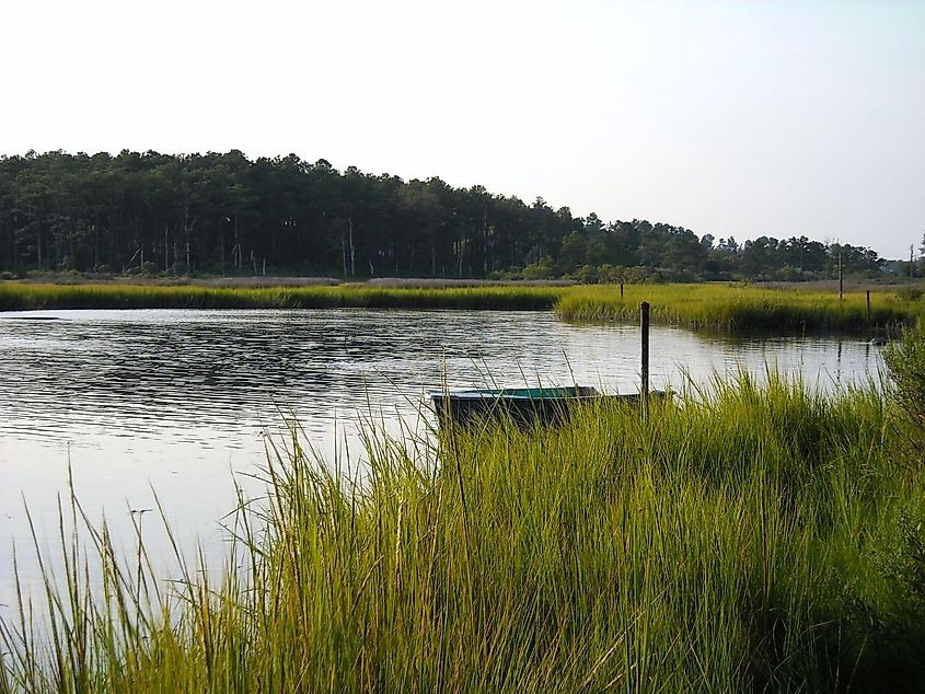 Boating area in Poquoson, Virignia.