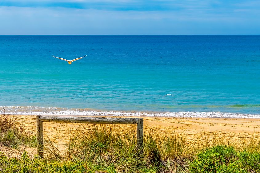 Summer at Aslings Beach, Eden, on the South Coast of New South Wales, Australia.