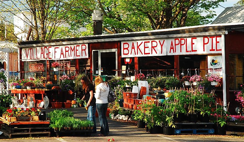 Two adult women shop for spring plants at a roadside farm stand in Delaware Water Gap, Pennsylvania