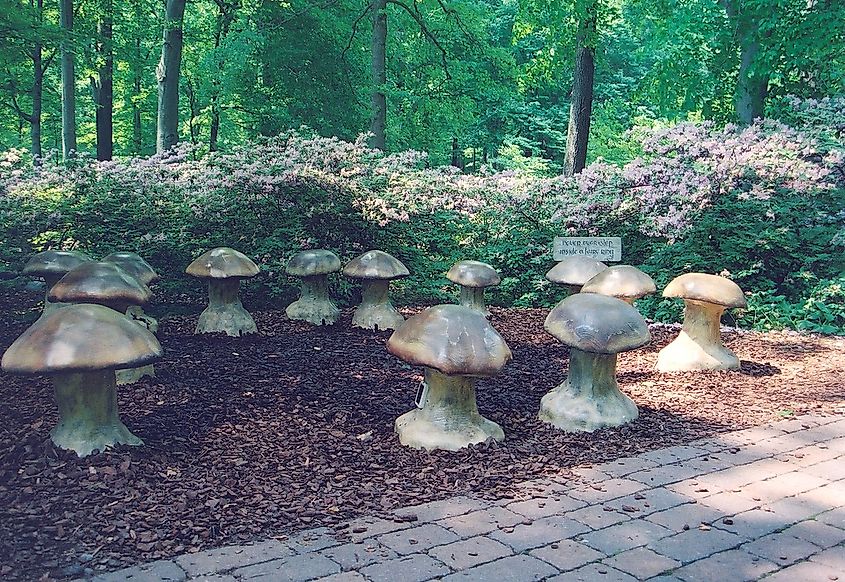 Enchanted Woods' Fairy Ring at Winterthur, Delaware.