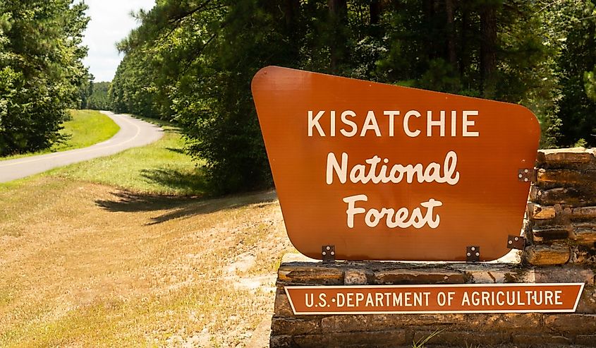 Two lane road passes entrance sign to Kisatchie National Forest