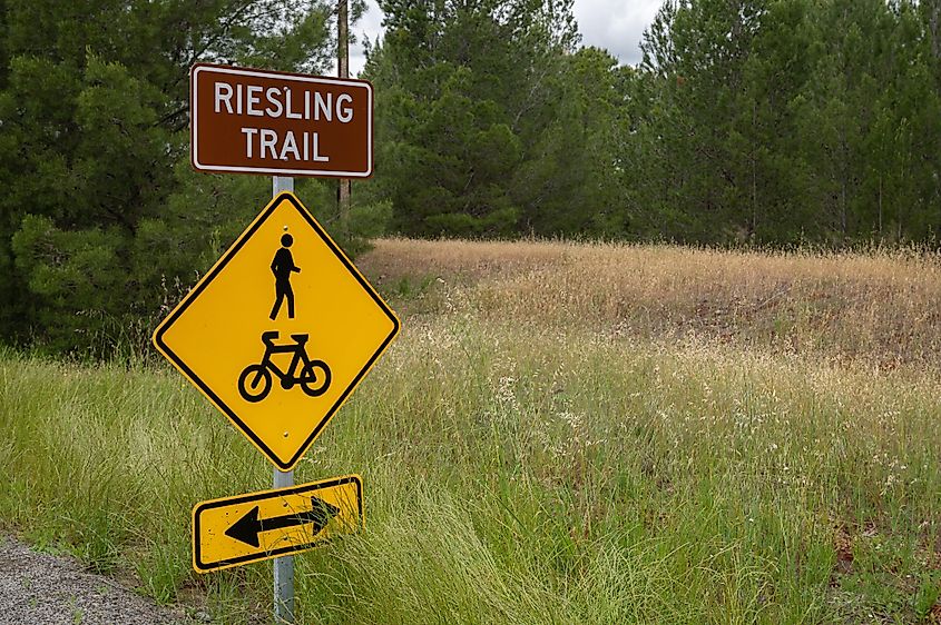 Riesling Trail Shared Walking and Cycling Path in Clare Valley, South Australia.