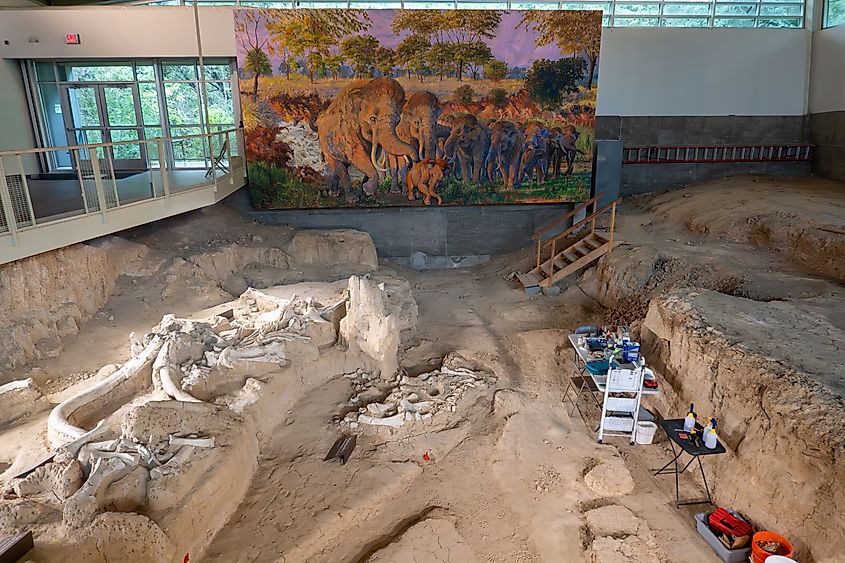 Waco Mammoth National Monument in Texas.