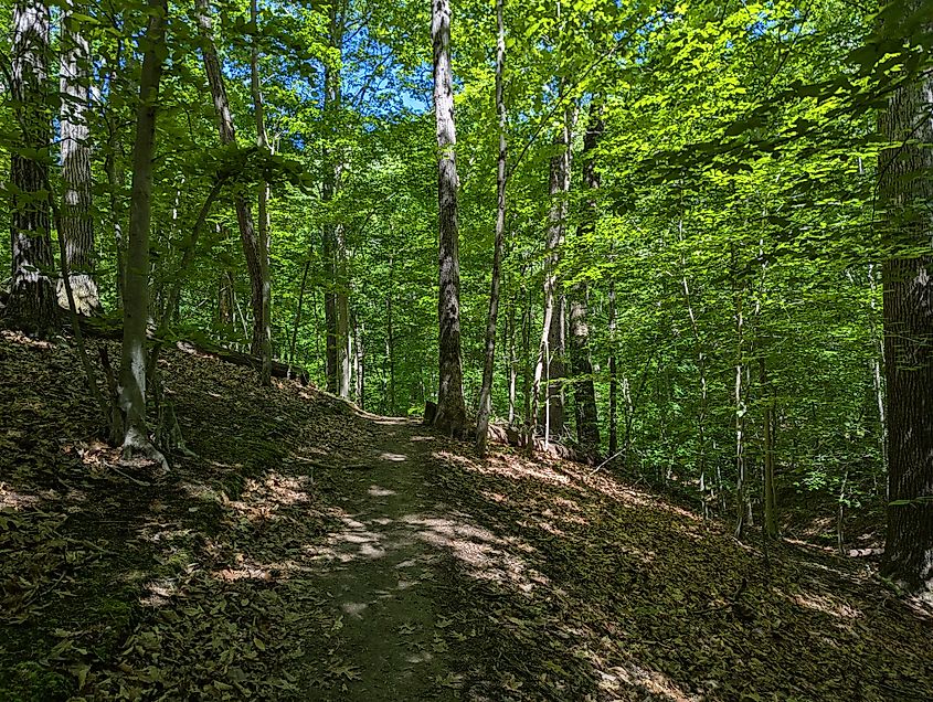 Hiking Trail in Crownsville, Maryland