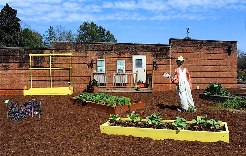 Fresh tilled soil and vegetable garden is guarded by scarecrow at the Riverbanks Zoo and Botanical Garden in Columbia, South Carolina