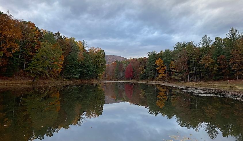 View of autumnal trees in Crozet, Virginia reflecting in the water with mountains in the back.