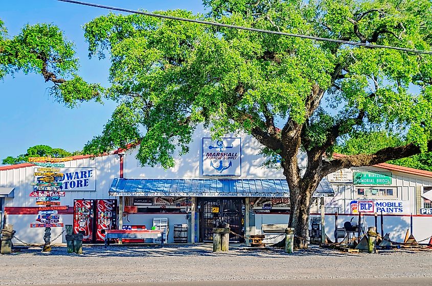 A Southern Live Oak tree stands in front of Marshall Marine Supply in Bayou La Batre, Alabama. Editorial credit: Carmen K. Sisson / Shutterstock.com