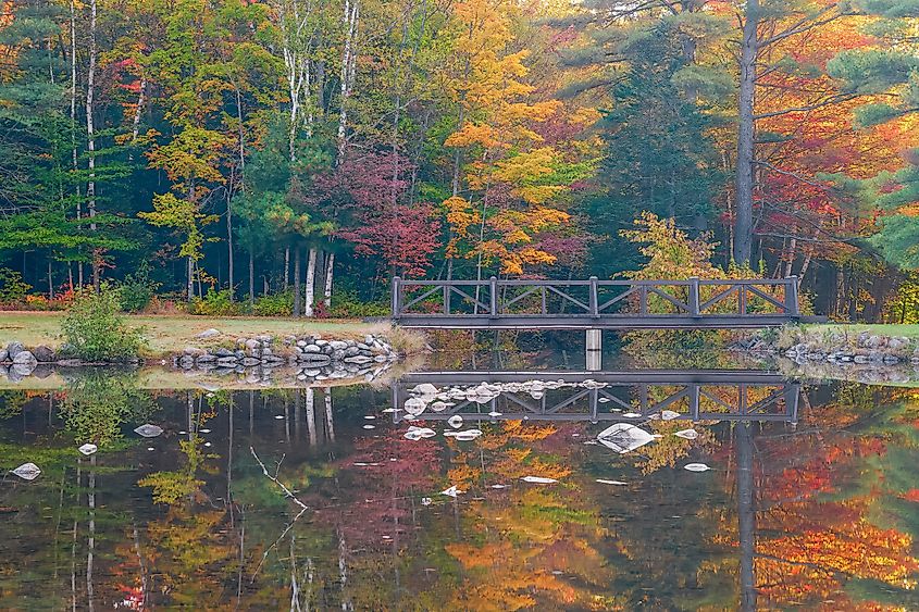 Moose Brook State Park near Berlin, New Hampshire