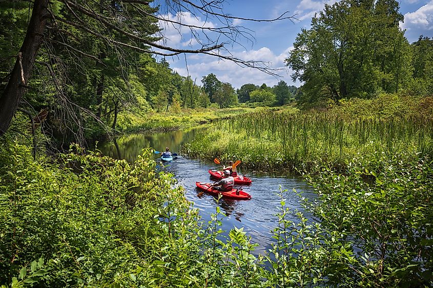 Kayakers on the Bantam River in White Memorial Foundation Nature Preserve, Litchfield, Connecticut
