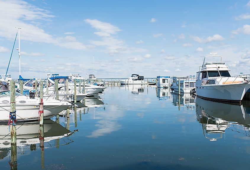 Boats and luxury yachts parked at docks and on hoists in a private yachting club. Long Beach Island, New Jersey.