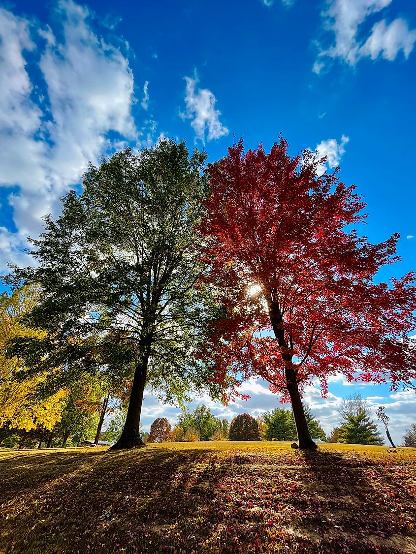 Cape Girardeau, Missouri, in autumn.