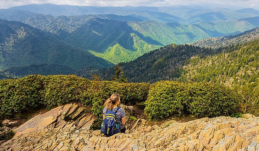 Female Hiker Enjoying View From Cliff Top Viewpoint on Mt. LeConte, Great Smoky Mountains National Park, Tennessee.