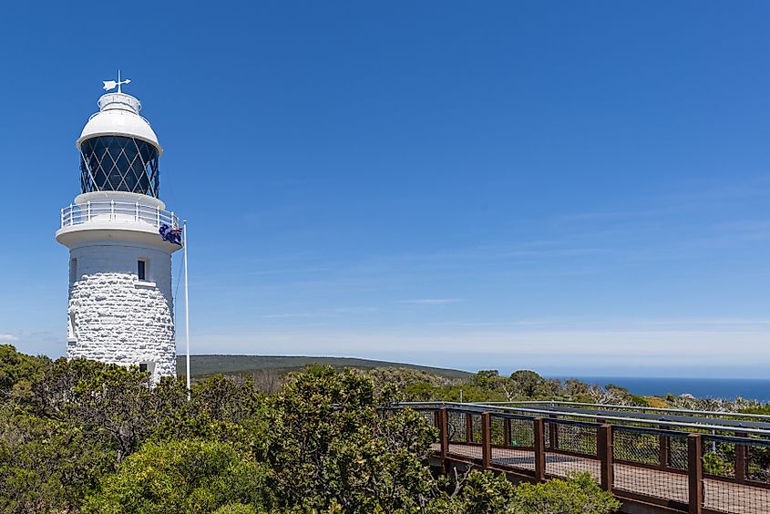 the Cape Naturaliste Lighthouse surrounded by trees in Australia