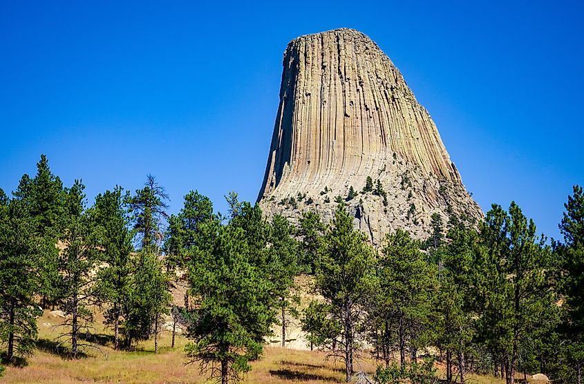 Devils Tower National Monument, in Wyoming, USA.